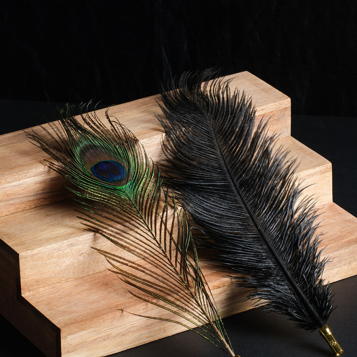 Peacock Feather Teaser Stick – Sensory Play Feather Toy