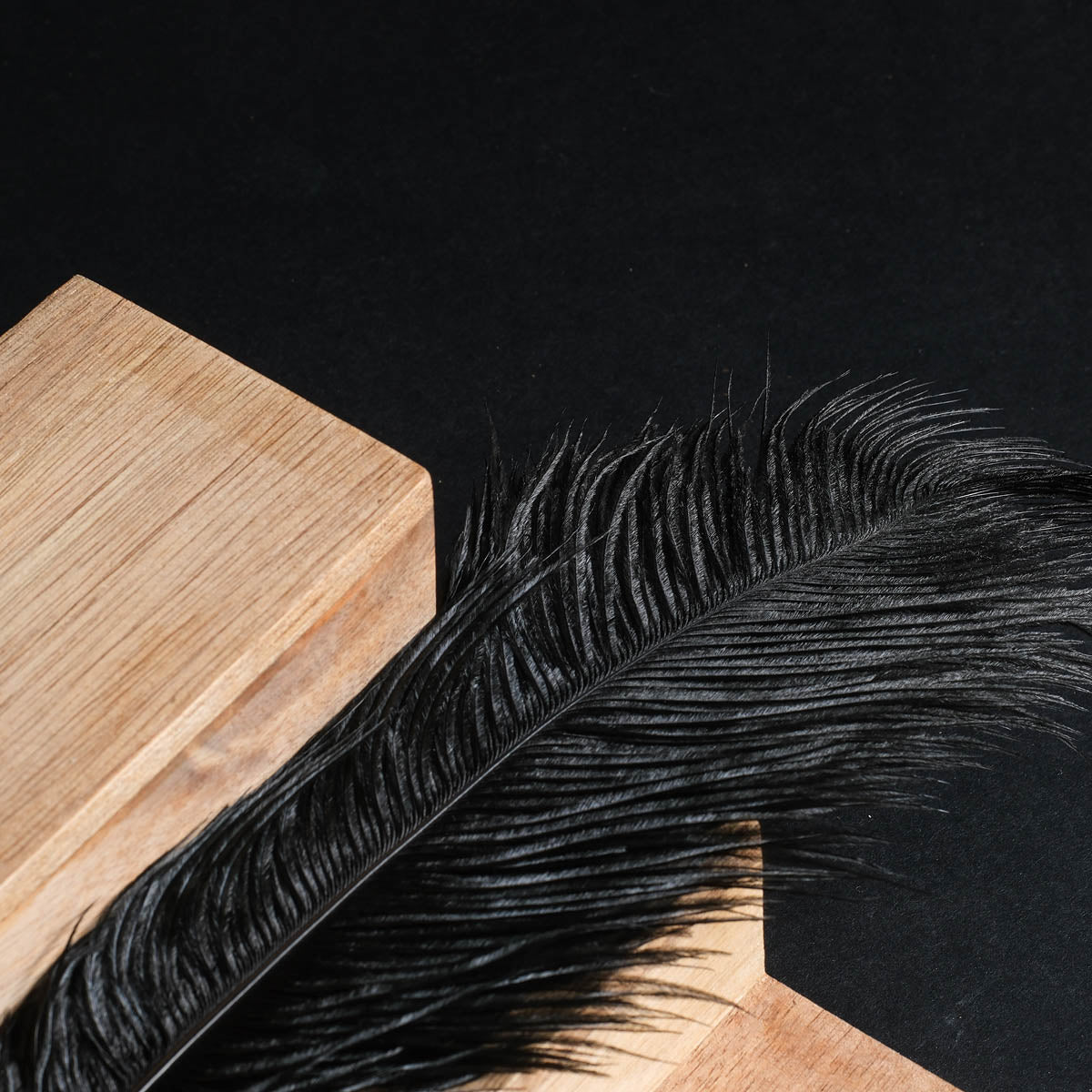 Peacock Feather Teaser Stick – Sensory Play Feather Toy