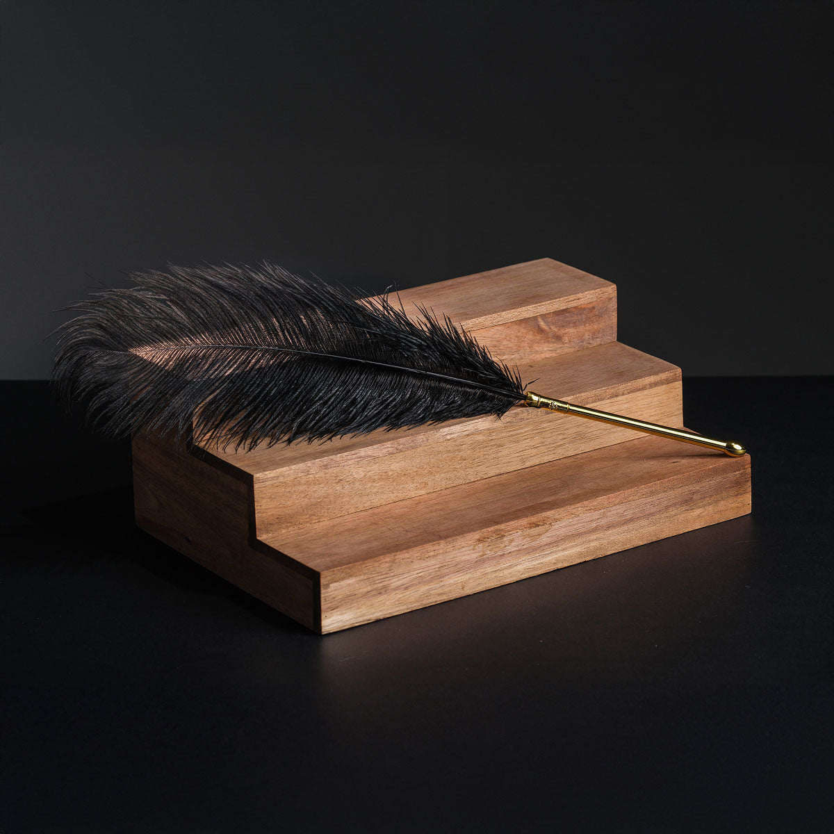 Peacock Feather Teaser Stick – Sensory Play Feather Toy