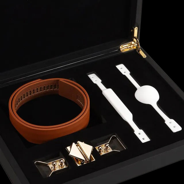 Ball-Gag and Bite-Gag Set